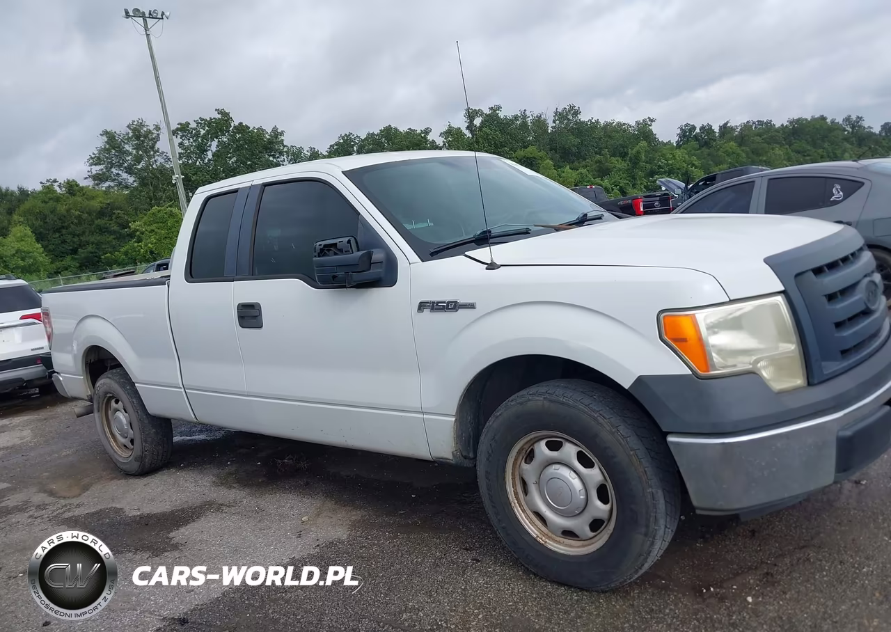 2011 Ford F-150 Xl VIN:1FTFX1CF2BFA78274 - 13