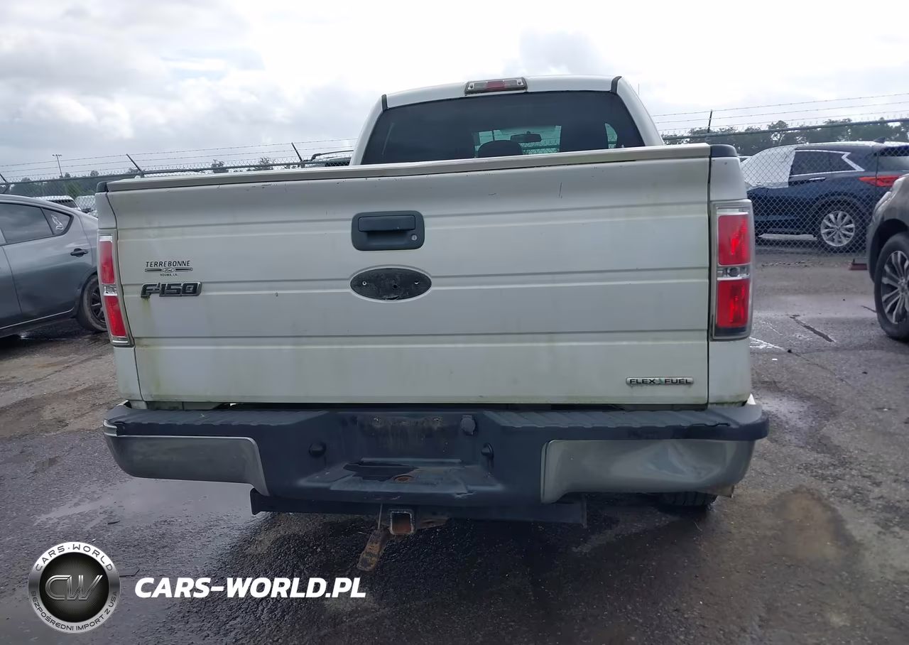 2011 Ford F-150 Xl VIN:1FTFX1CF2BFA78274 - 16