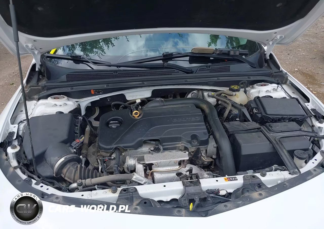2019 Chevrolet Malibu Lt VIN:1G1ZD5ST9KF168969 - 10