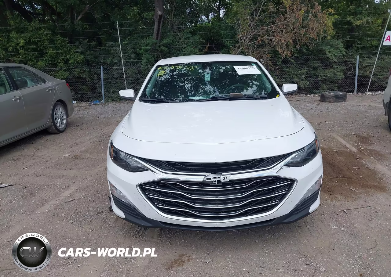 2019 Chevrolet Malibu Lt VIN:1G1ZD5ST9KF168969 - 12