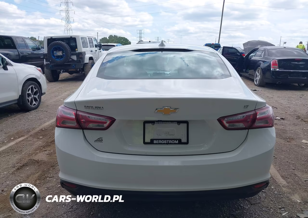 2019 Chevrolet Malibu Lt VIN:1G1ZD5ST9KF168969 - 16