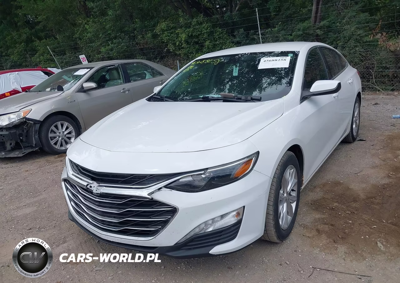 2019 Chevrolet Malibu Lt VIN:1G1ZD5ST9KF168969 - 2