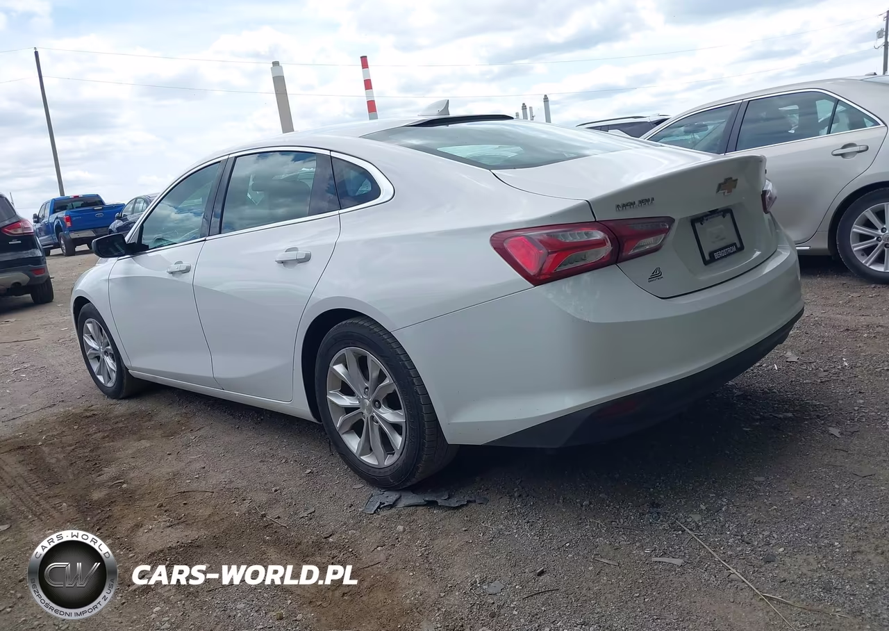 2019 Chevrolet Malibu Lt VIN:1G1ZD5ST9KF168969 - 3