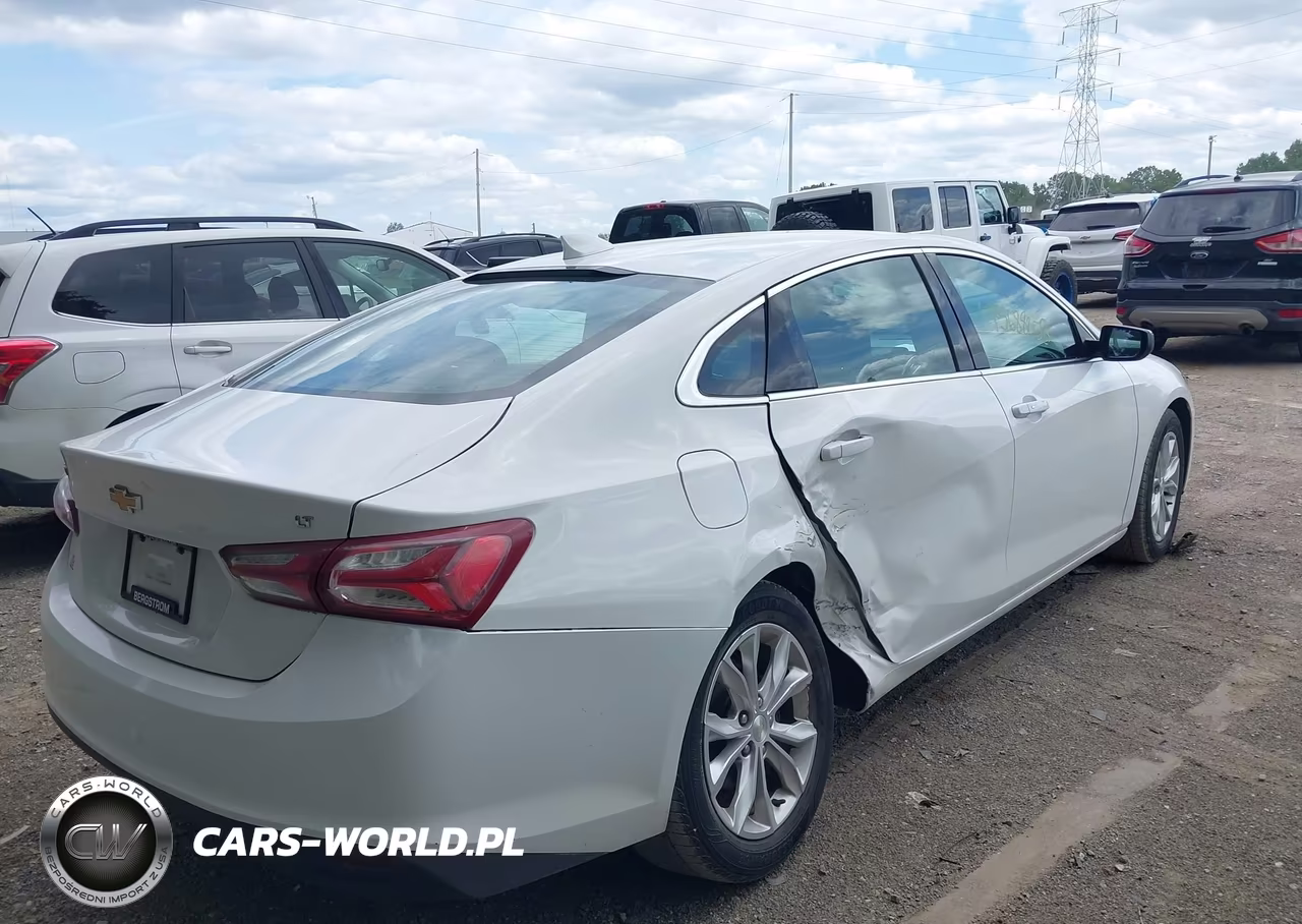 2019 Chevrolet Malibu Lt VIN:1G1ZD5ST9KF168969 - 6