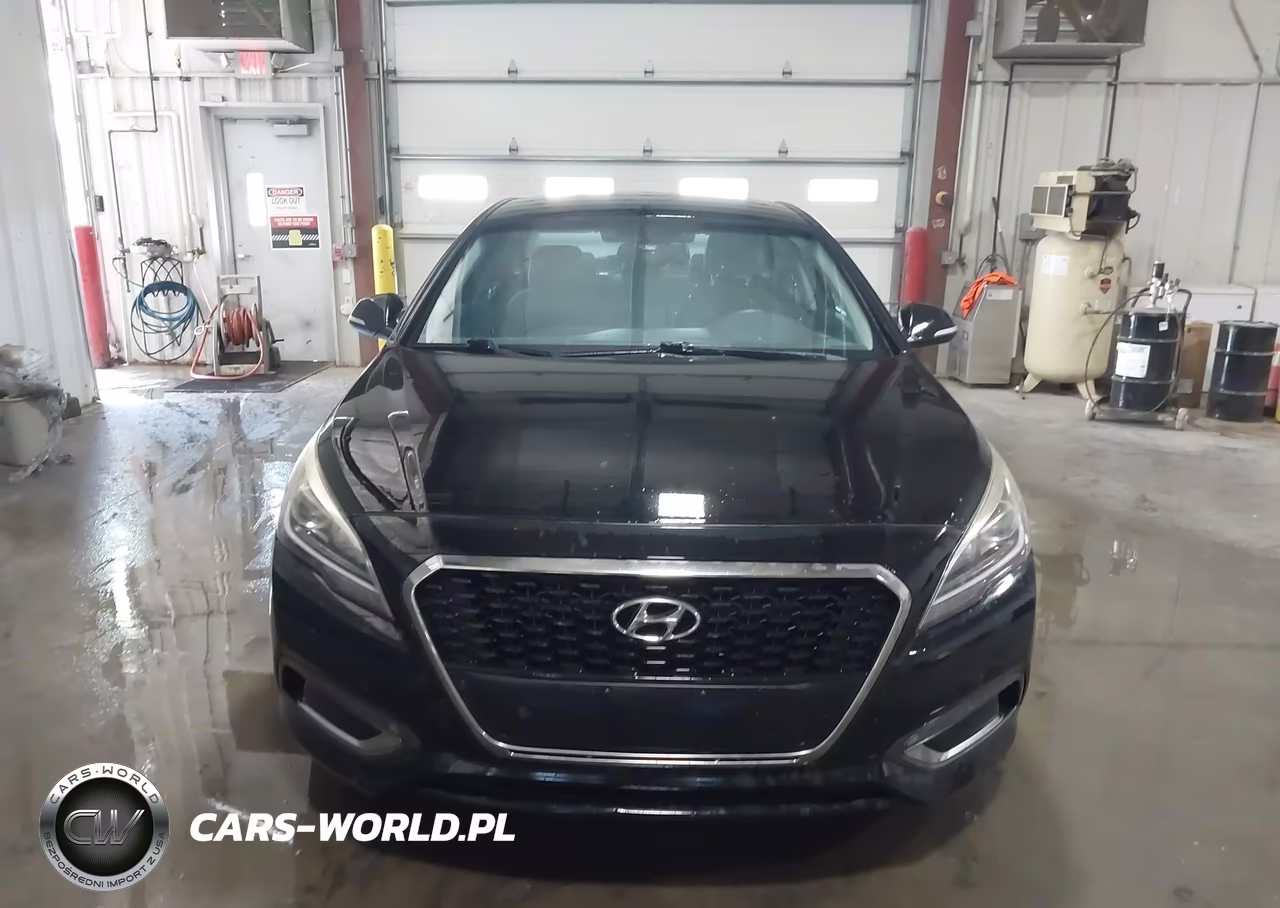2016 Hyundai Sonata Hybrid Se VIN:KMHE24L13GA038785 - 17