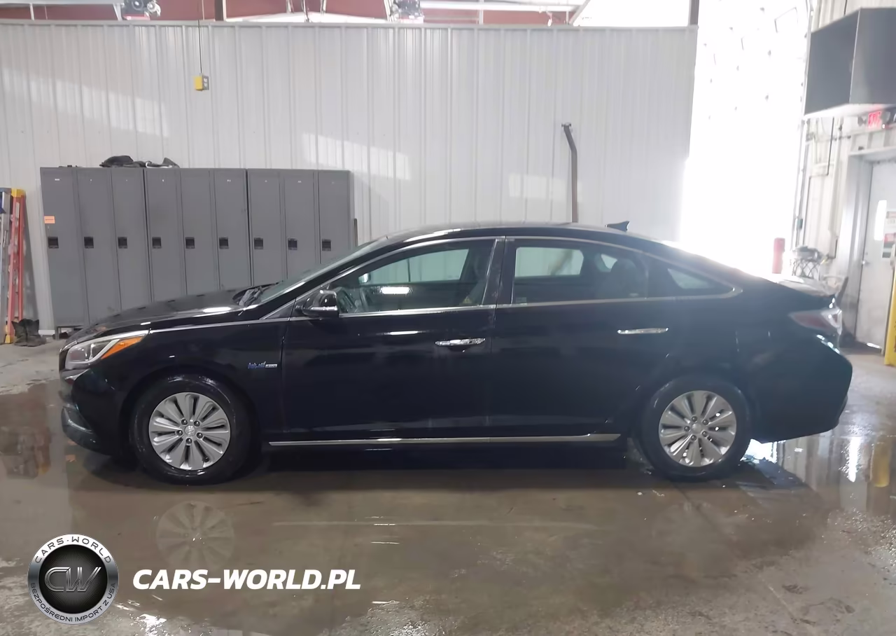 2016 Hyundai Sonata Hybrid Se VIN:KMHE24L13GA038785 - 19