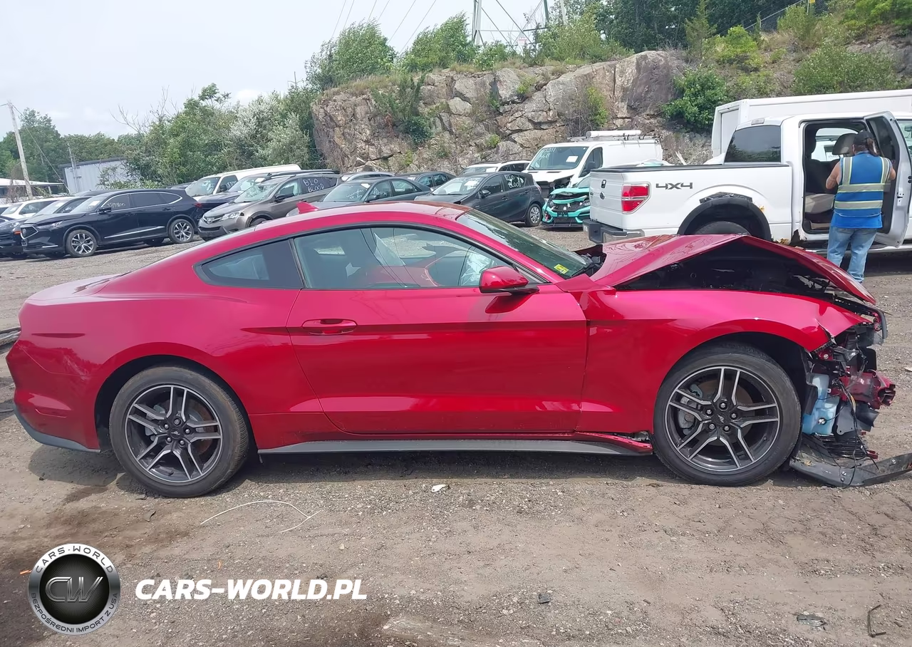 2021 Ford Mustang Ecoboost Fastback VIN:1FA6P8TH5M5157916 - 14