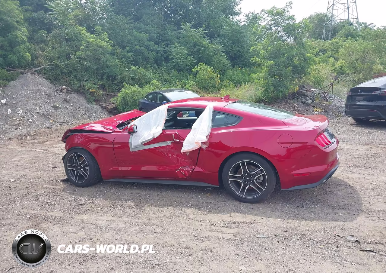 2021 Ford Mustang Ecoboost Fastback VIN:1FA6P8TH5M5157916 - 15