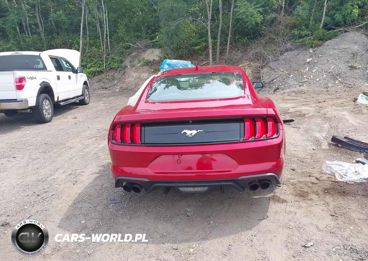 2021 Ford Mustang Ecoboost Fastback VIN:1FA6P8TH5M5157916 - 17