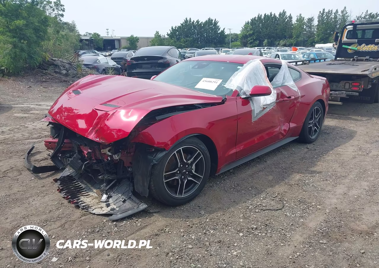 2021 Ford Mustang Ecoboost Fastback VIN:1FA6P8TH5M5157916 - 2