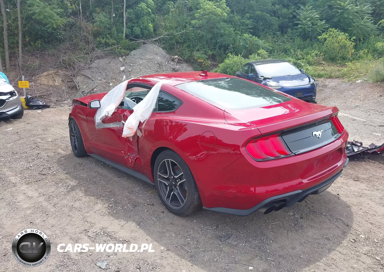 2021 Ford Mustang Ecoboost Fastback VIN:1FA6P8TH5M5157916 - 3
