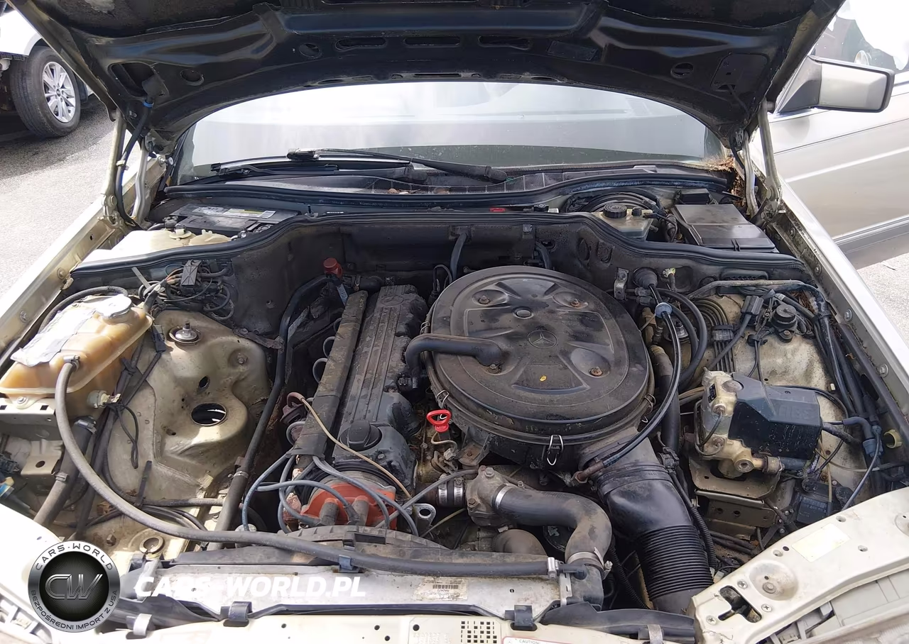 1991 Mercedes-Benz 300 Sel VIN:WDBCA25EXMA603837 - 10