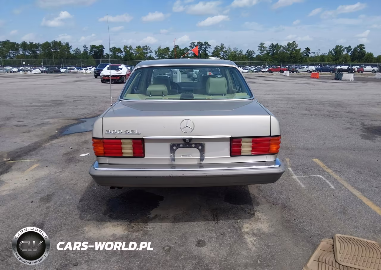 1991 Mercedes-Benz 300 Sel VIN:WDBCA25EXMA603837 - 16