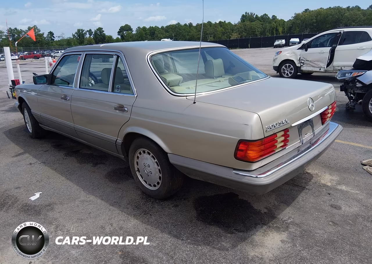 1991 Mercedes-Benz 300 Sel VIN:WDBCA25EXMA603837 - 3