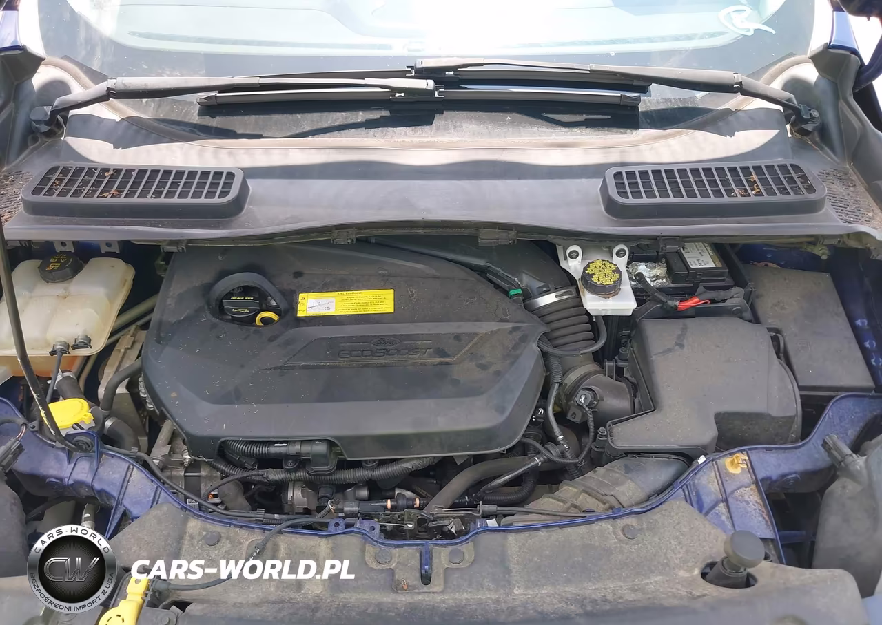 2015 Ford Escape Se VIN:1FMCU0GX1FUB24585 - 10