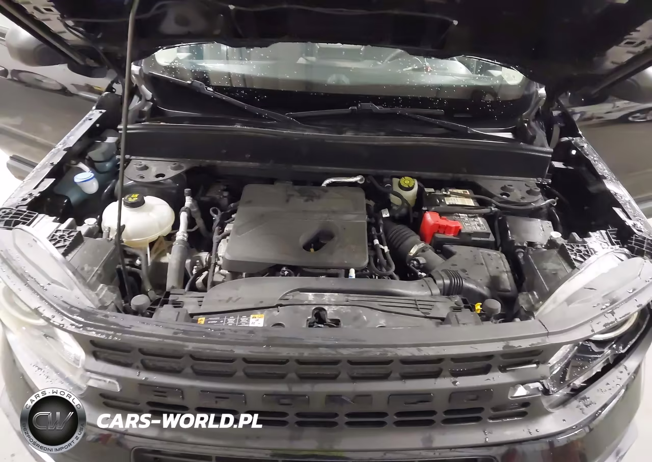 2021 Ford Bronco Sport VIN:3FMCR9A65MRA18487 - 10