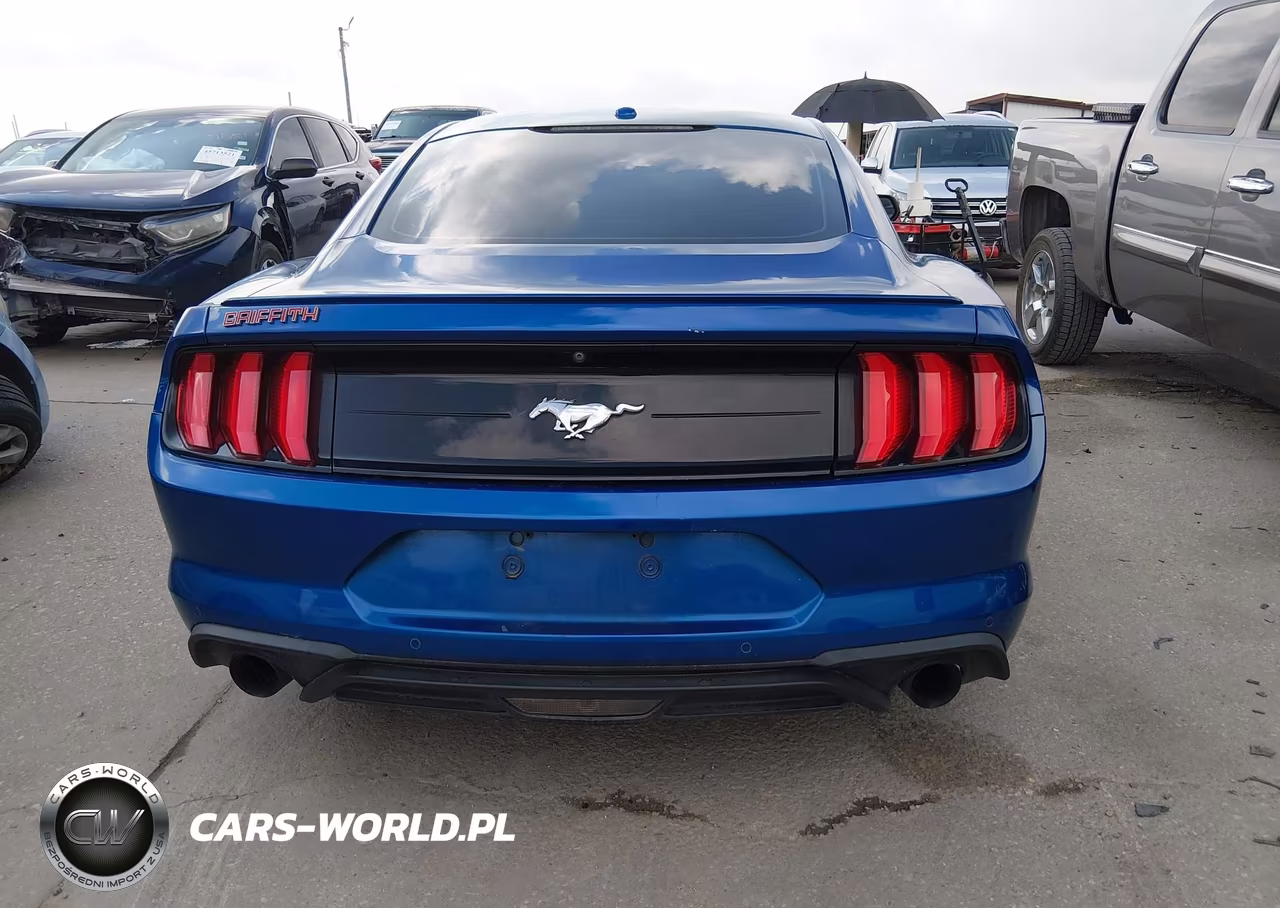 2018 Ford Mustang Ecoboost VIN:1FA6P8TH9J5184984 - 17