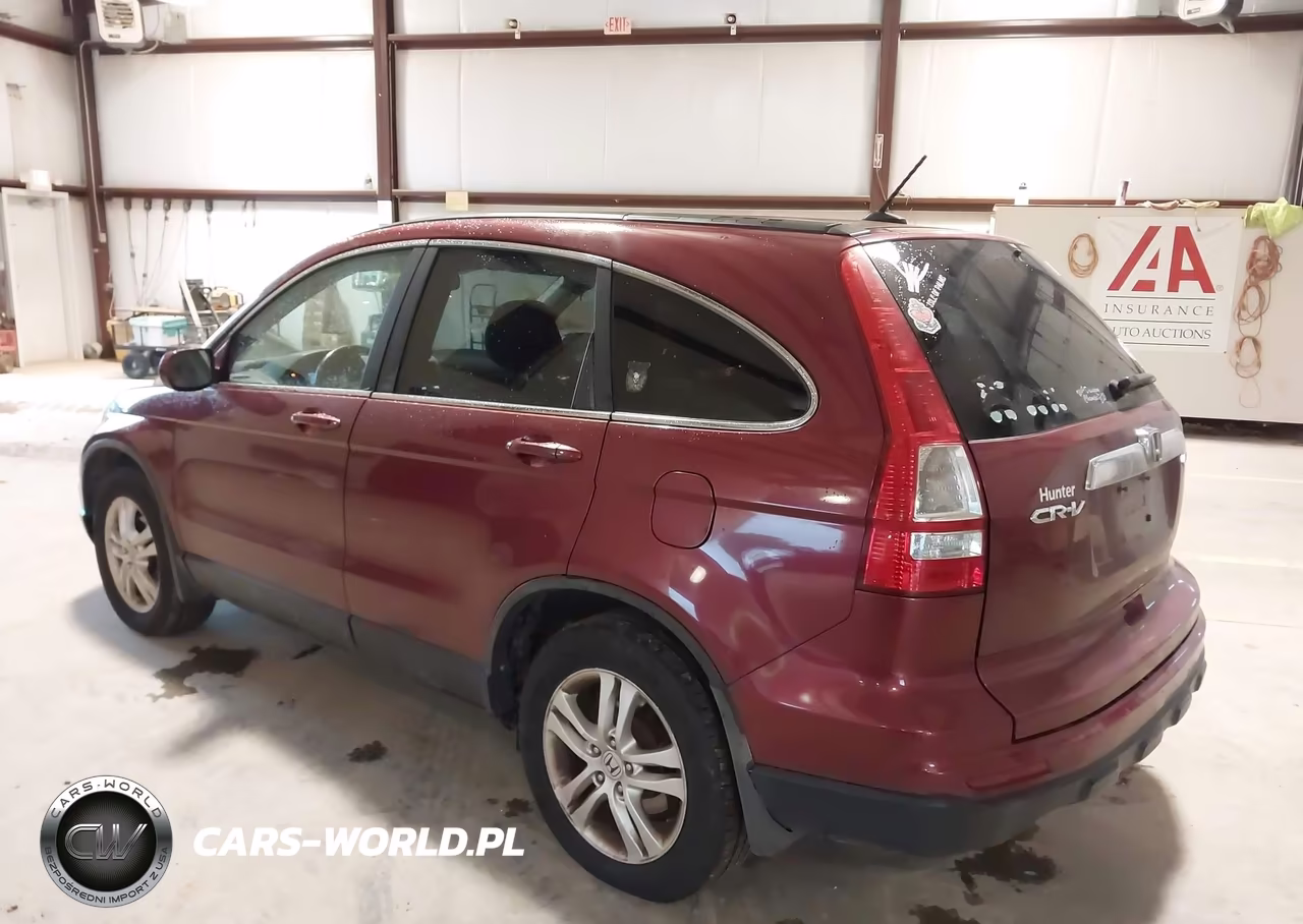 2010 Honda Cr-V Ex-L VIN:5J6RE4H70AL036993 - 3