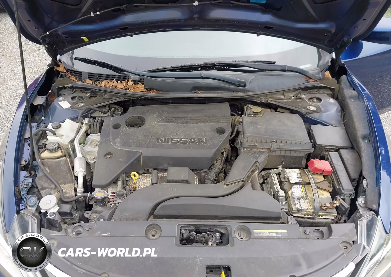 2016 Nissan Altima 2.5 Sr VIN:1N4AL3AP2GC207951 - 10