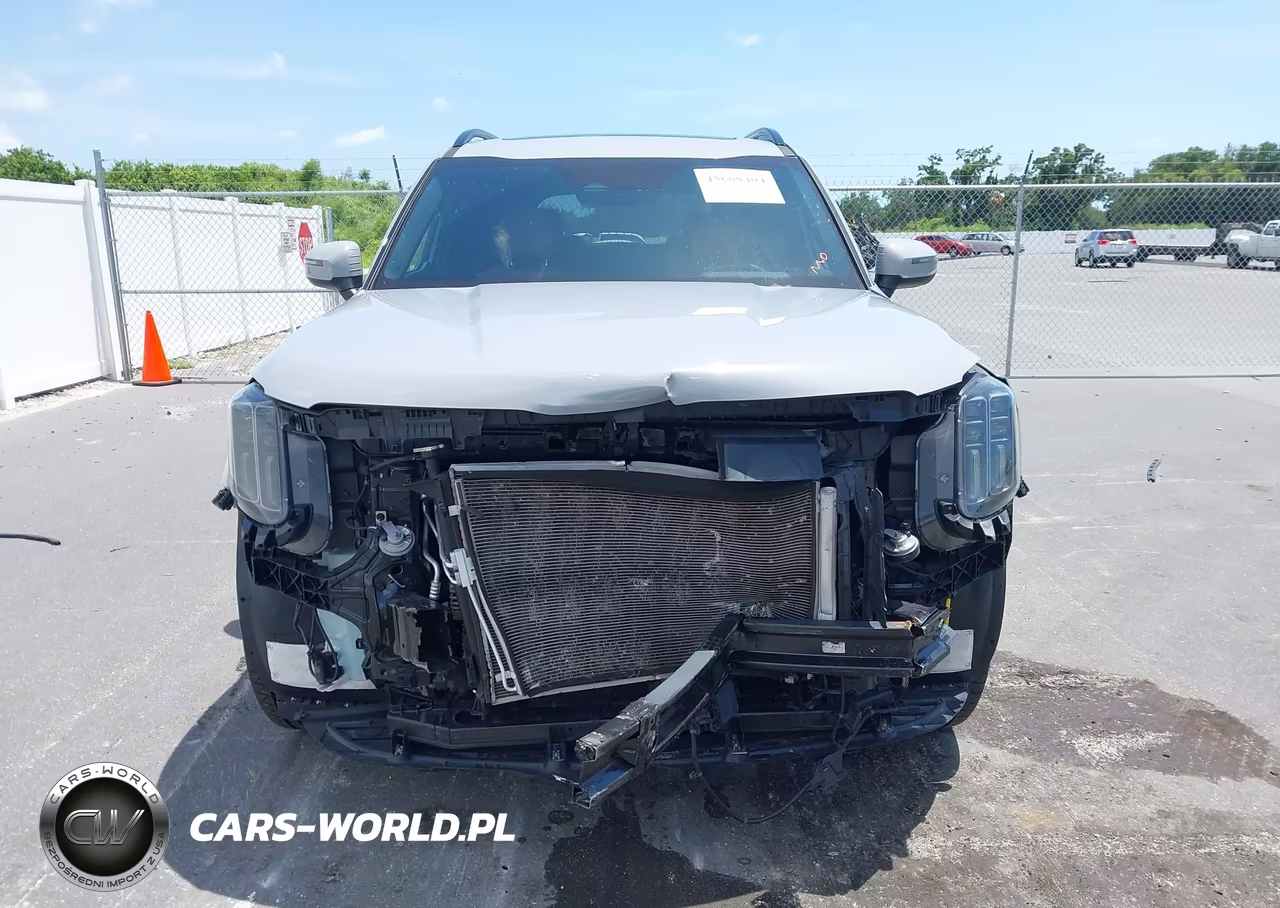 2023 Kia Telluride Ex X-Line VIN:5XYP3DGC0PG384220 - 12