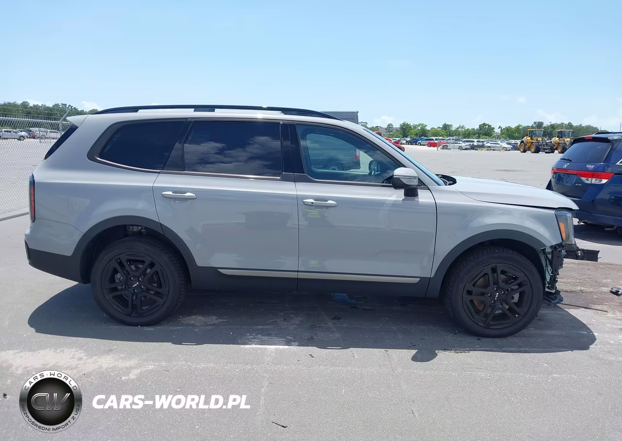 2023 Kia Telluride Ex X-Line VIN:5XYP3DGC0PG384220 - 13