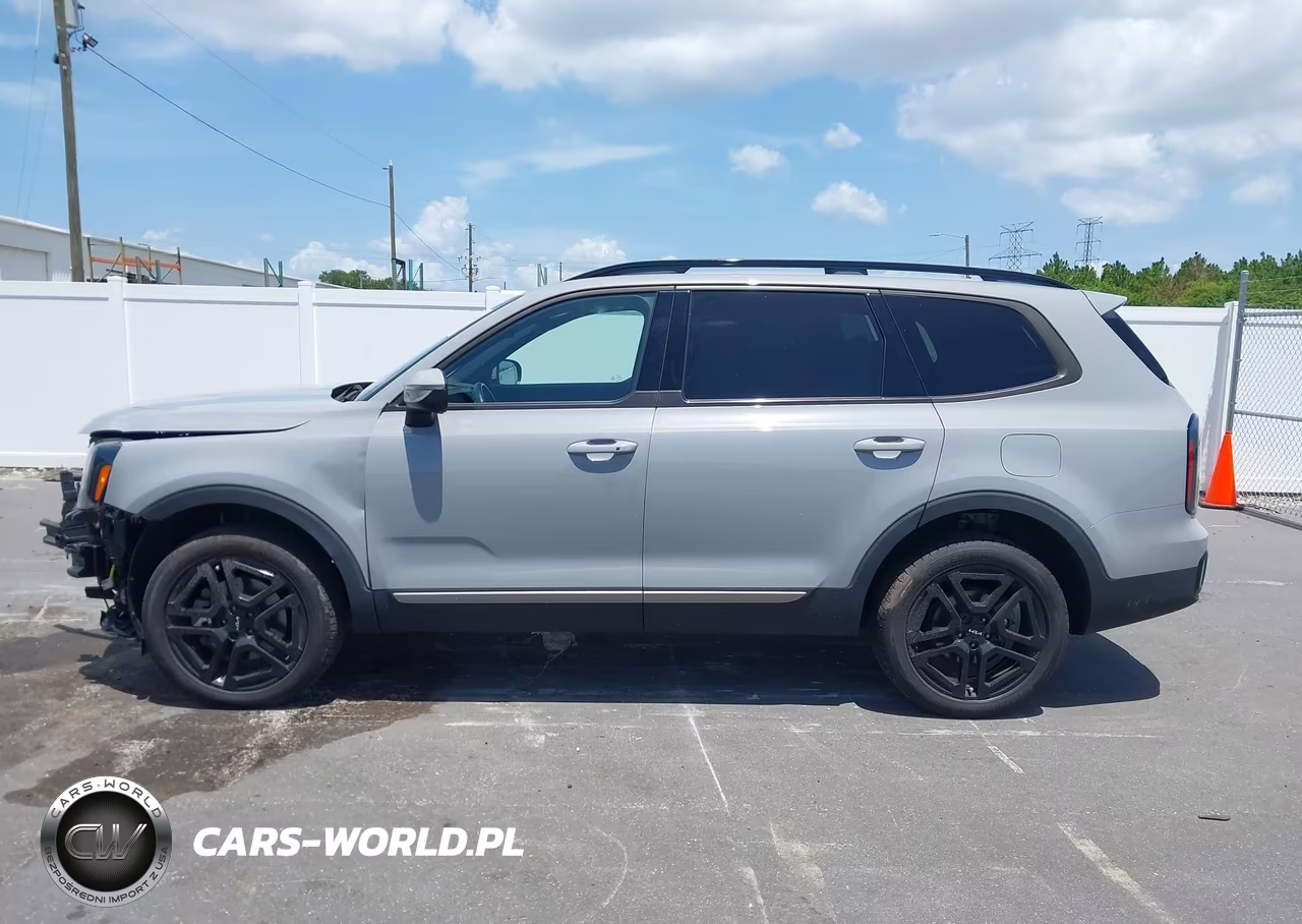 2023 Kia Telluride Ex X-Line VIN:5XYP3DGC0PG384220 - 14