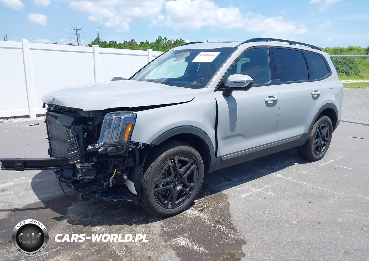 2023 Kia Telluride Ex X-Line VIN:5XYP3DGC0PG384220 - 2