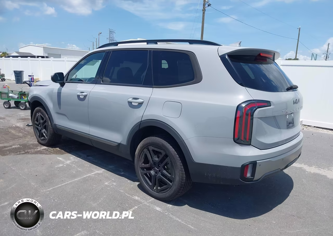 2023 Kia Telluride Ex X-Line VIN:5XYP3DGC0PG384220 - 3