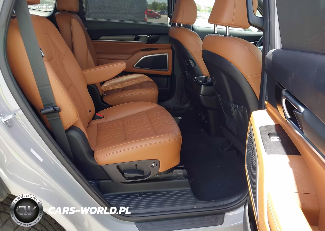 2023 Kia Telluride Ex X-Line VIN:5XYP3DGC0PG384220 - 8