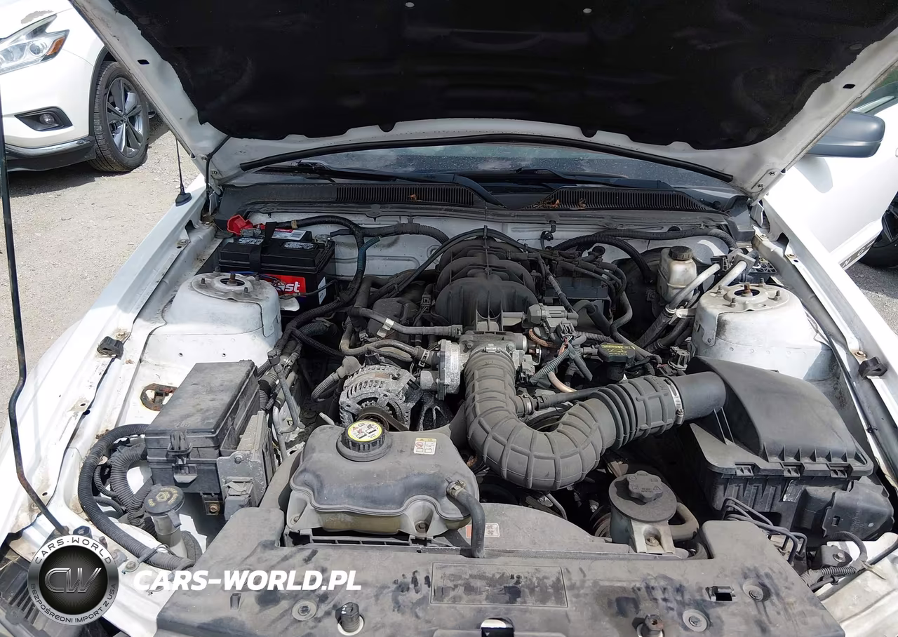 2009 Ford Mustang V6-V6 Premium VIN:1ZVHT80N195112324 - 10