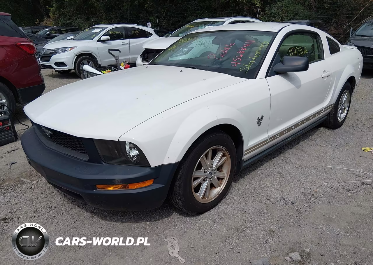 2009 Ford Mustang V6-V6 Premium VIN:1ZVHT80N195112324 - 2