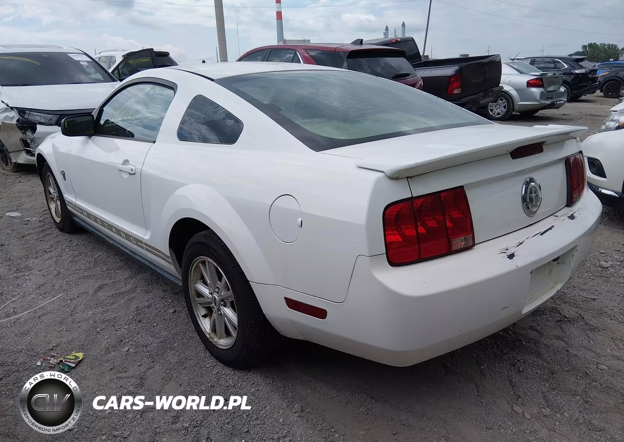 2009 Ford Mustang V6-V6 Premium VIN:1ZVHT80N195112324 - 3
