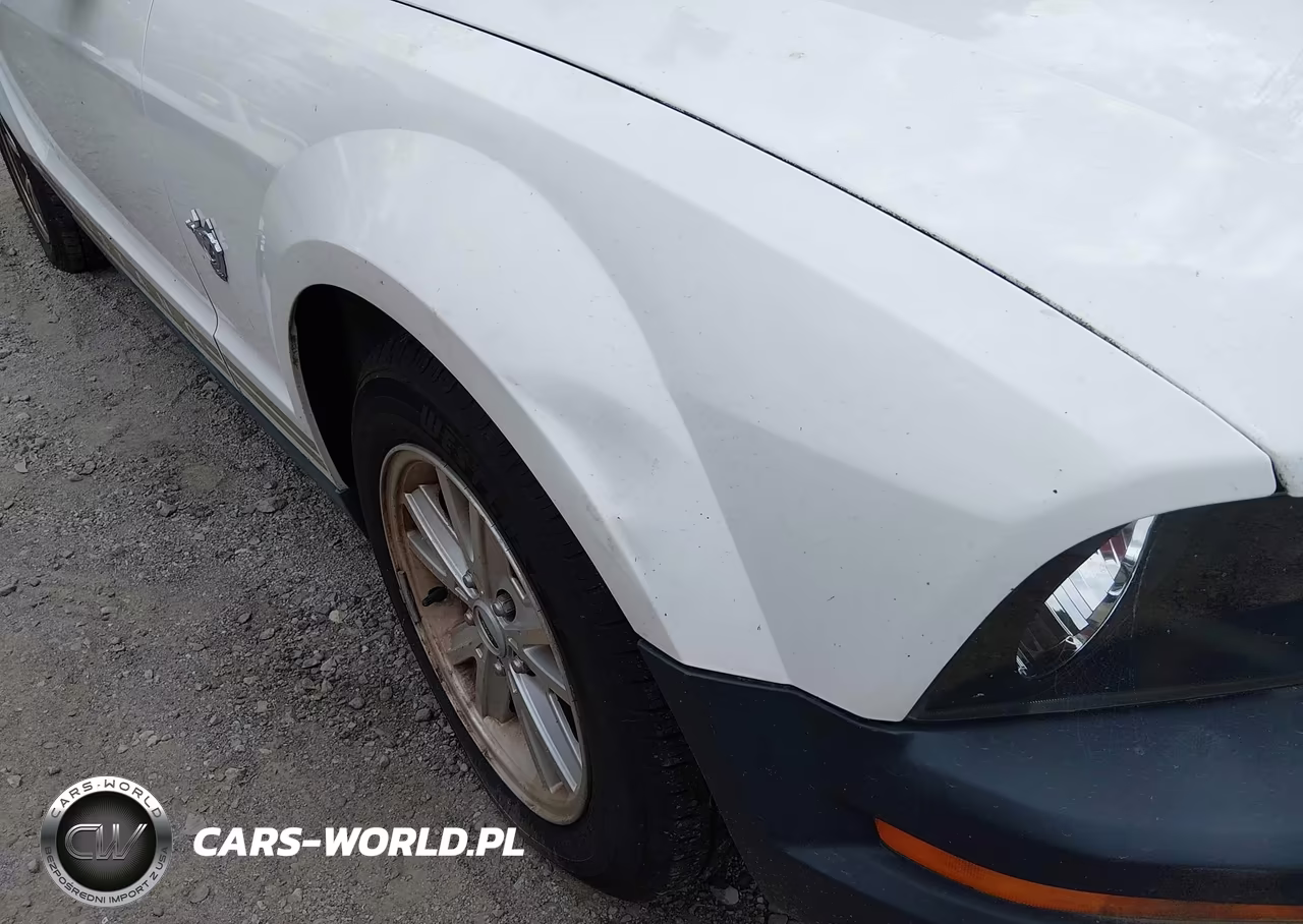 2009 Ford Mustang V6-V6 Premium VIN:1ZVHT80N195112324 - 6