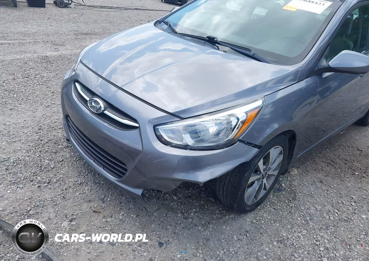2017 Hyundai Accent Value Edition VIN:KMHCT4AE8HU318003 - 19