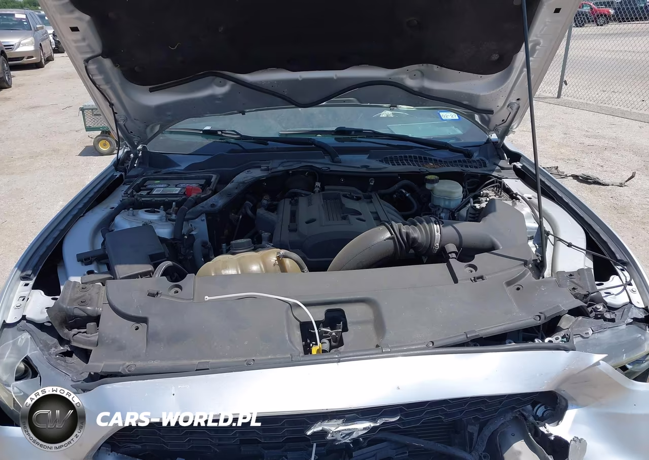 2016 Ford Mustang Ecoboost VIN:1FA6P8TH3G5274852 - 10
