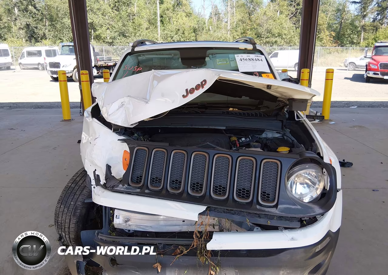 2016 Jeep Renegade 75Th Anniversary VIN:ZACCJABT3GPE39706 - 13