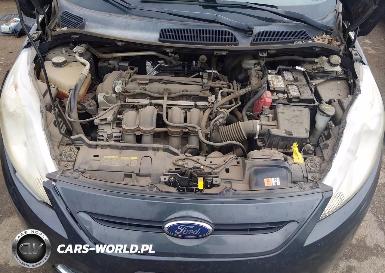 2011 Ford Fiesta Se VIN:3FADP4EJ1BM195926 - 10