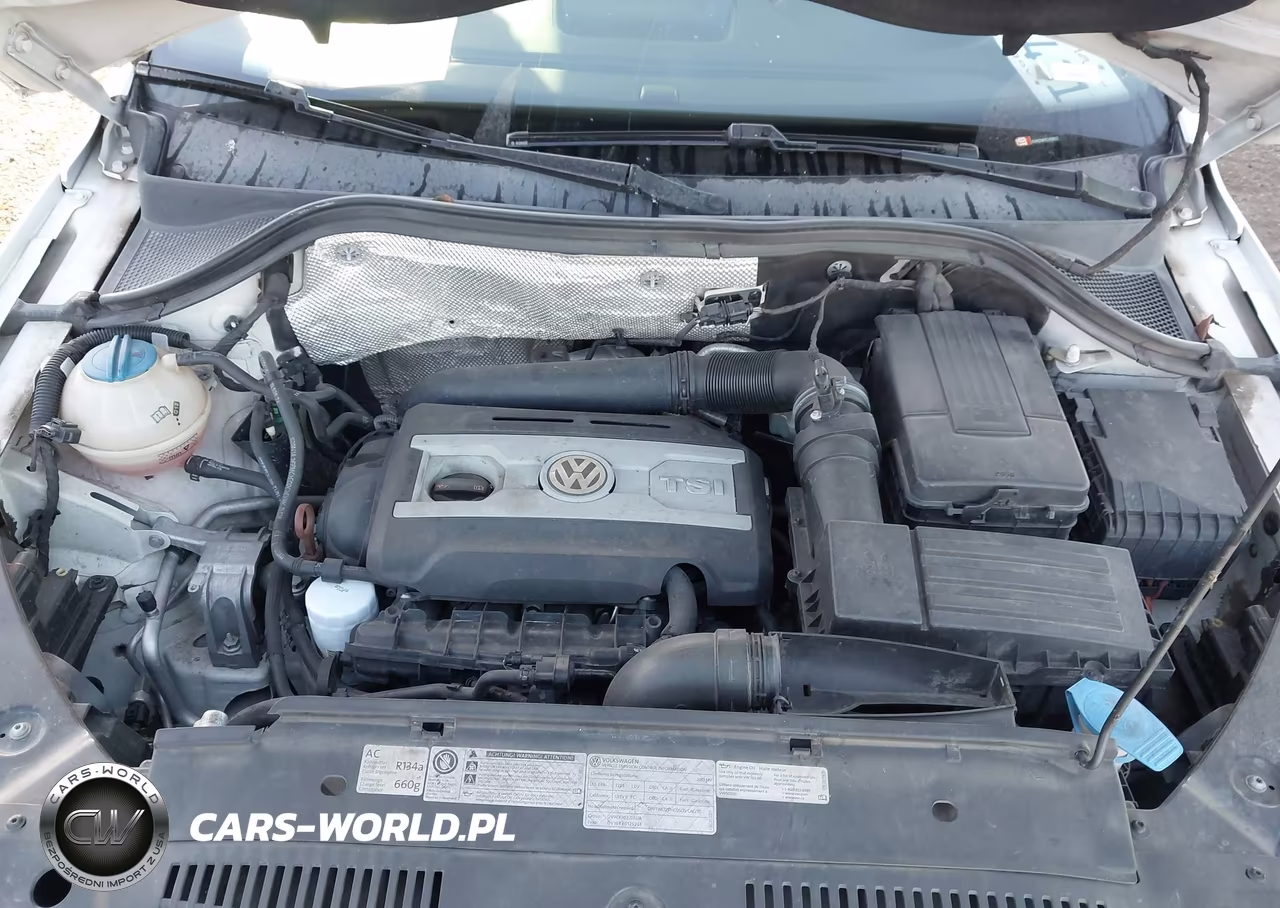 2013 Volkswagen Tiguan Se VIN:WVGAV7AX6DW525802 - 10