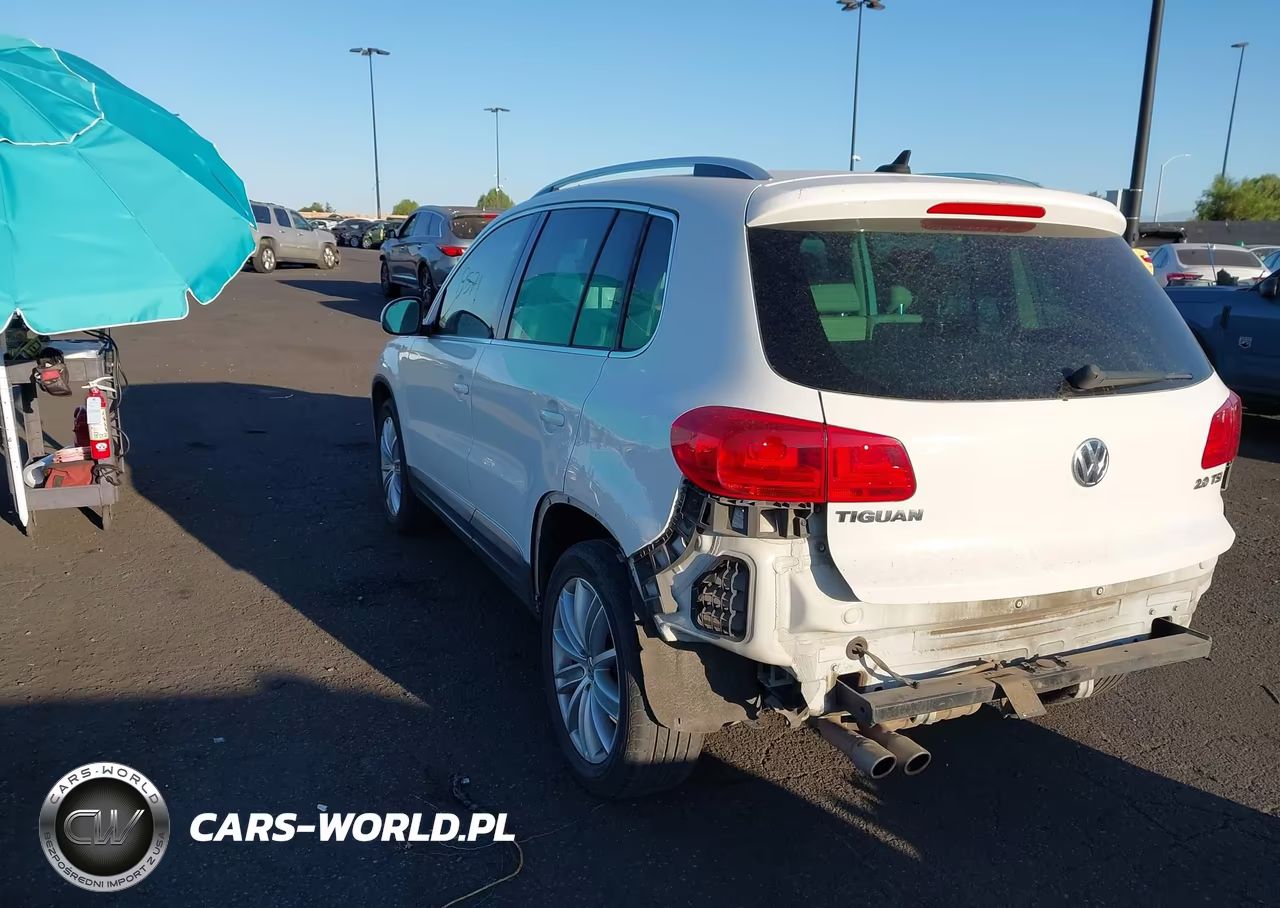 2013 Volkswagen Tiguan Se VIN:WVGAV7AX6DW525802 - 3