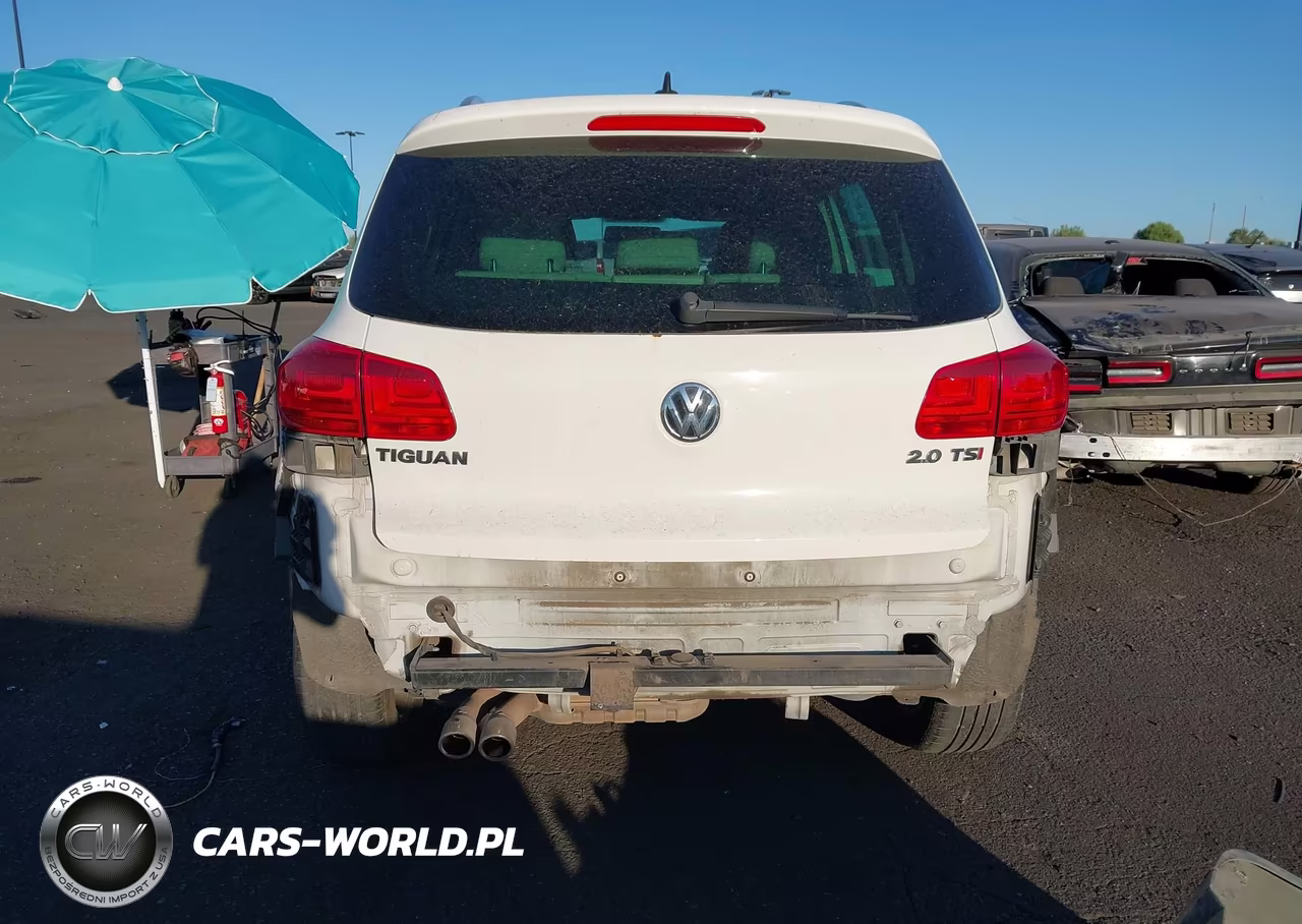 2013 Volkswagen Tiguan Se VIN:WVGAV7AX6DW525802 - 6