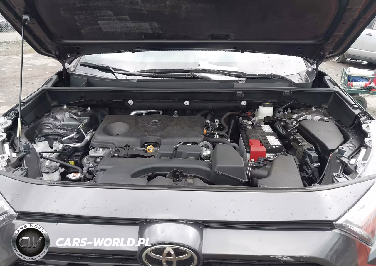 2023 Toyota Rav4 Xle VIN:2T3P1RFV5PW383720 - 10