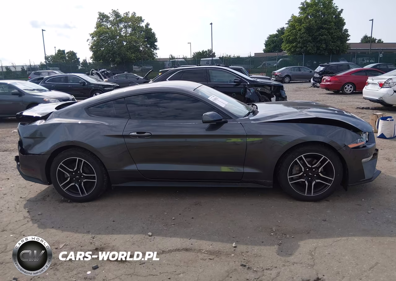 2020 Ford Mustang Ecoboost Premium Fastback VIN:1FA6P8TH7L5153428 - 13