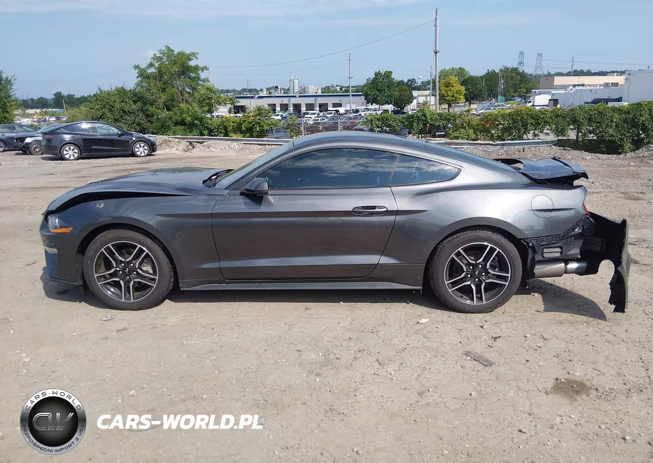 2020 Ford Mustang Ecoboost Premium Fastback VIN:1FA6P8TH7L5153428 - 14