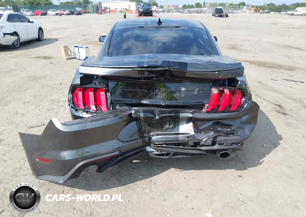 2020 Ford Mustang Ecoboost Premium Fastback VIN:1FA6P8TH7L5153428 - 16