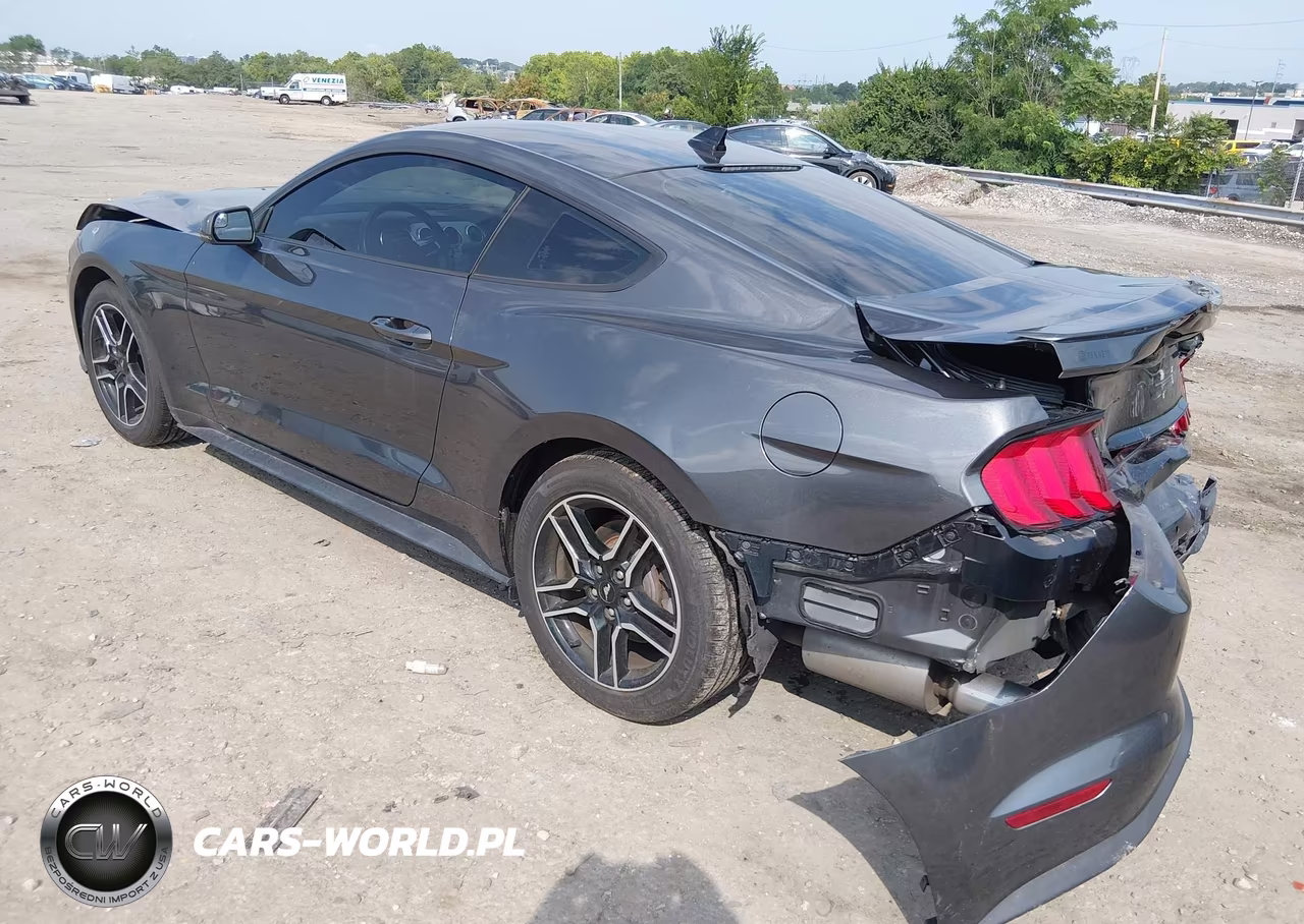2020 Ford Mustang Ecoboost Premium Fastback VIN:1FA6P8TH7L5153428 - 3