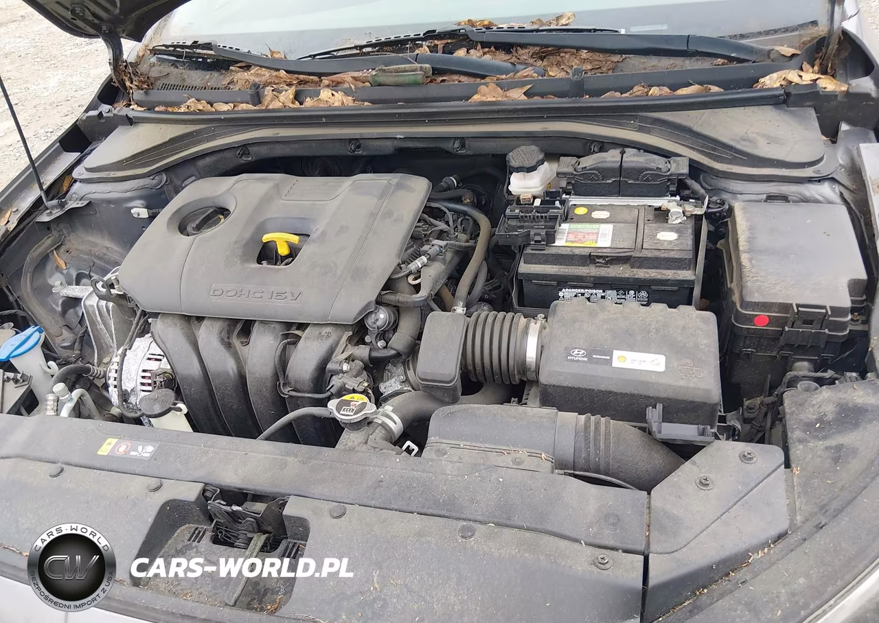 2019 Hyundai Elantra Sel VIN:5NPD84LF8KH404641 - 10