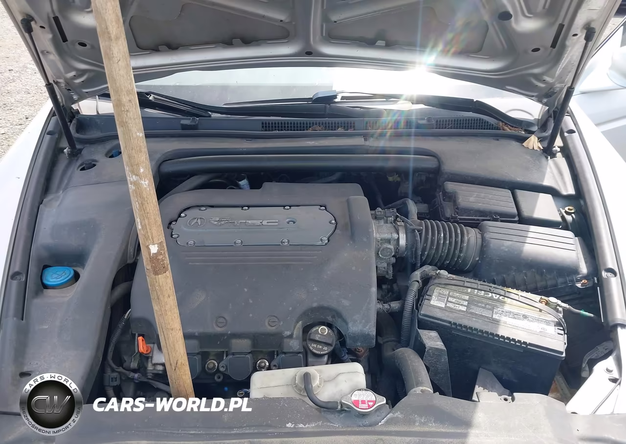 2006 Acura Tl VIN:19UUA662X6A064853 - 10