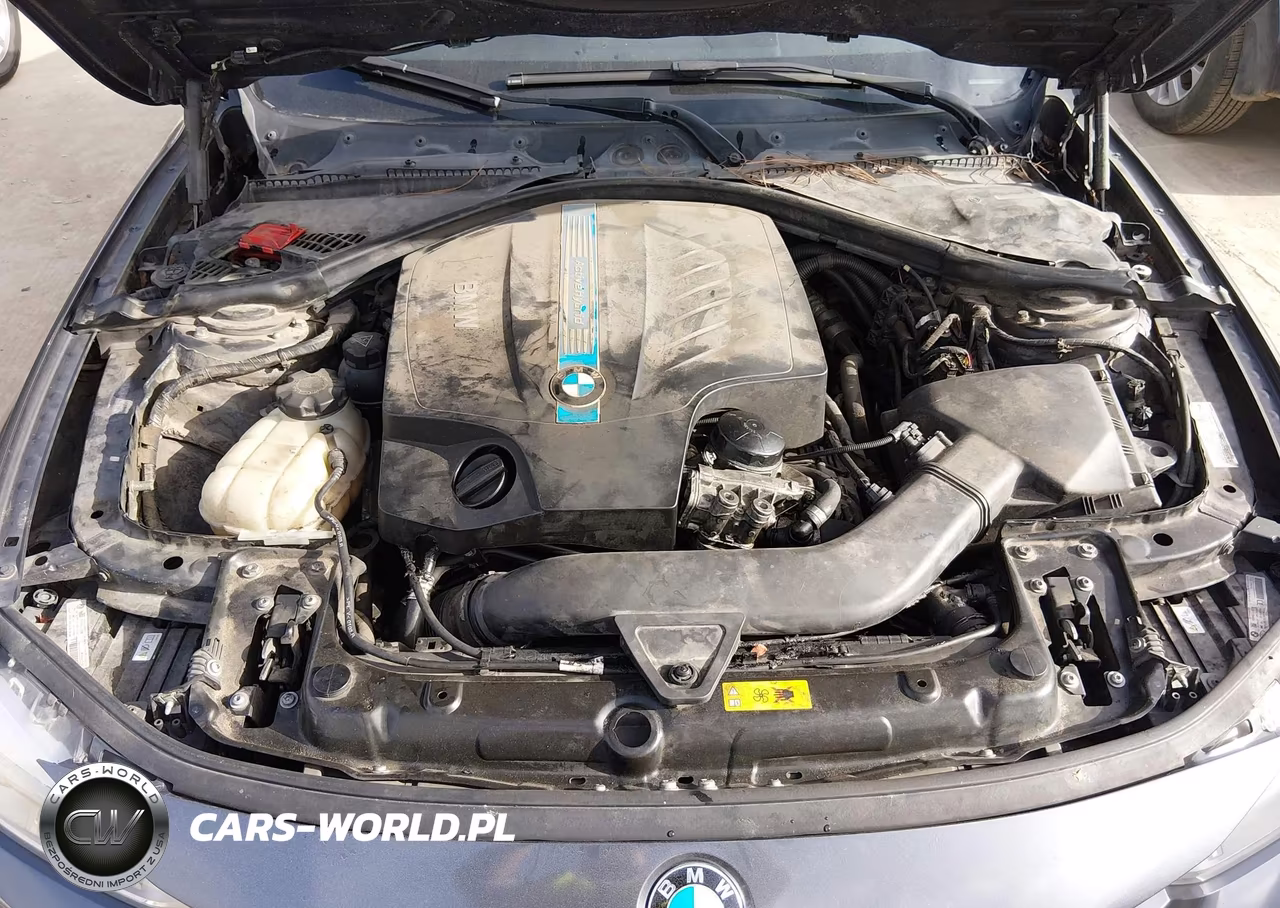 2013 BMW Activehybrid 3 VIN:WBA3F9C54DF483886 - 10