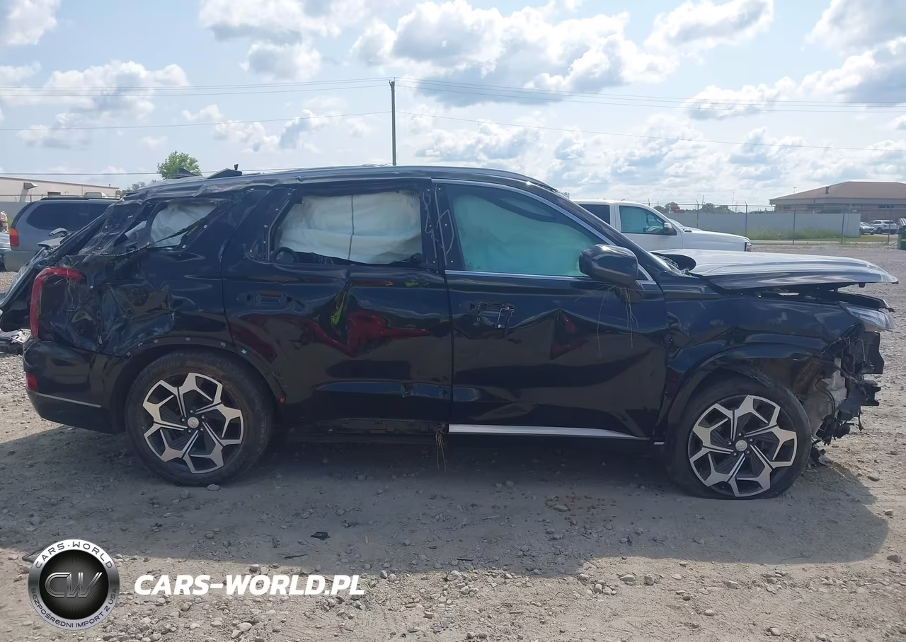 2022 Hyundai Palisade Calligraphy VIN:KM8R7DHE2NU383543 - 13