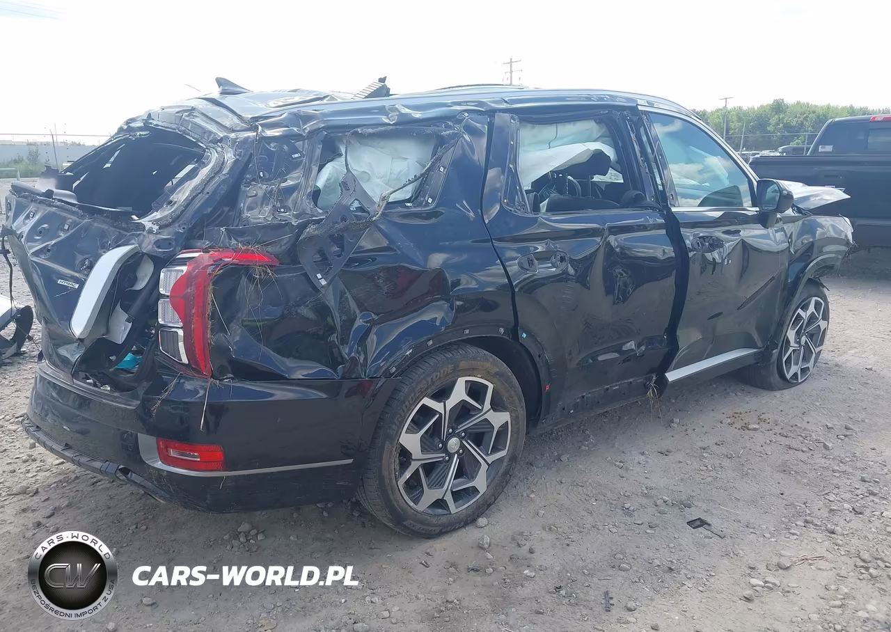 2022 Hyundai Palisade Calligraphy VIN:KM8R7DHE2NU383543 - 4